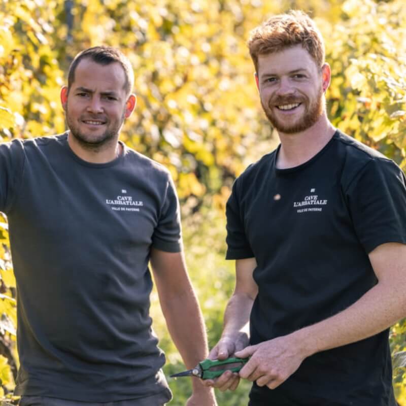 Deux vignerons dans une vigne en automne